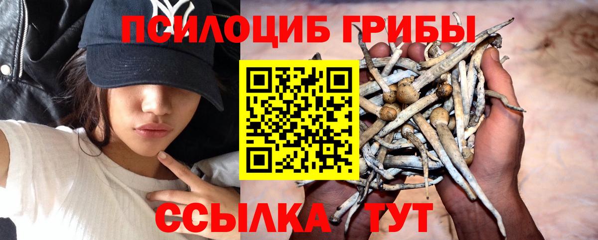 Киржач  Псилоцибиновые грибы мухоморы  Вход с VPN 